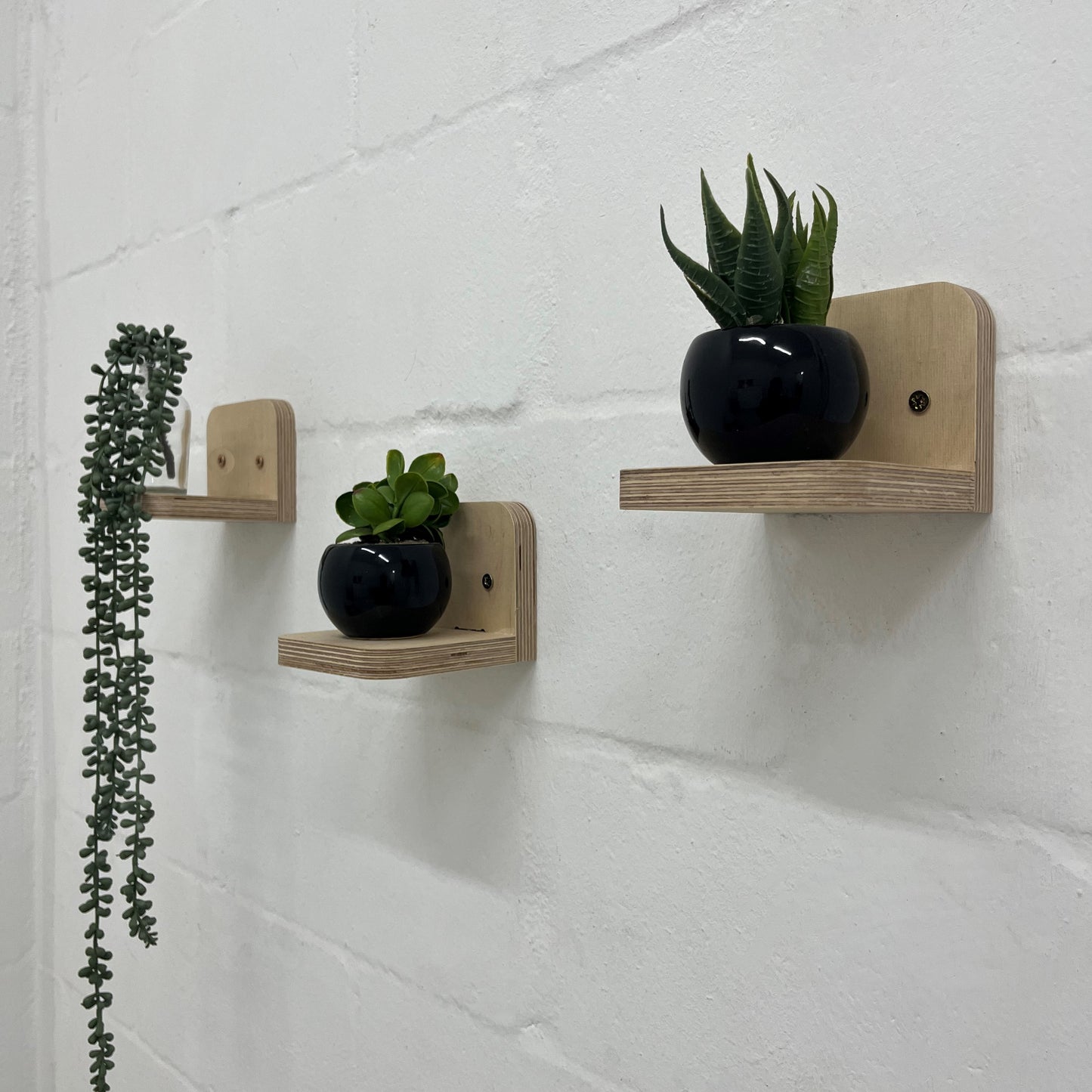 Plant Shelves Set of 3 - Elula Furniture